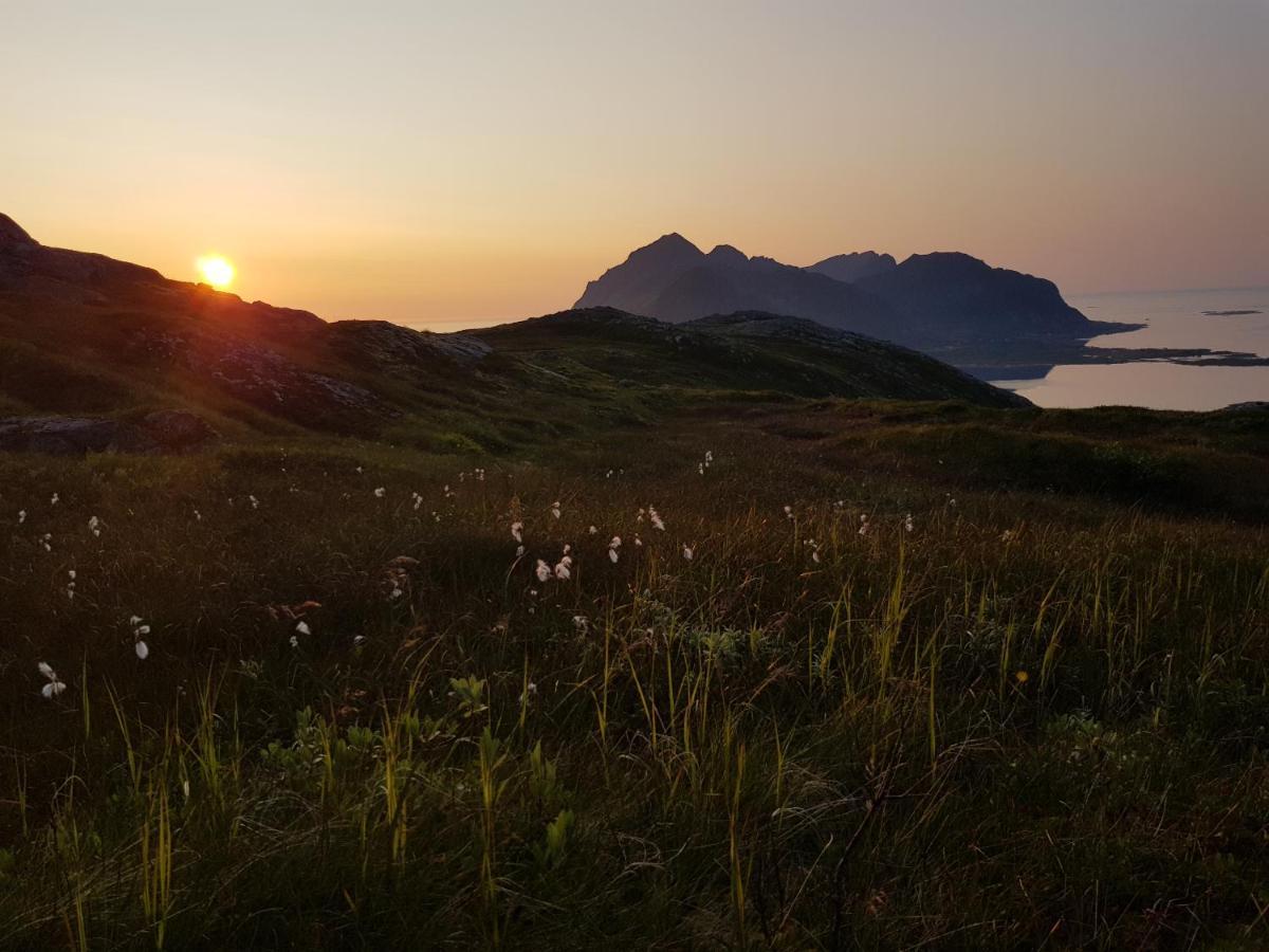 Villa Walter Lofoten With Sauna Kvalnes  Exterior photo