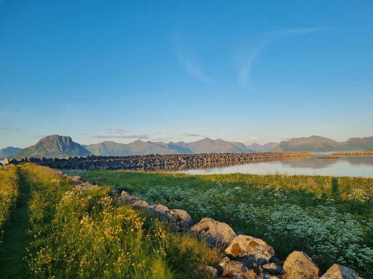 Villa Walter Lofoten With Sauna Kvalnes  Exterior photo